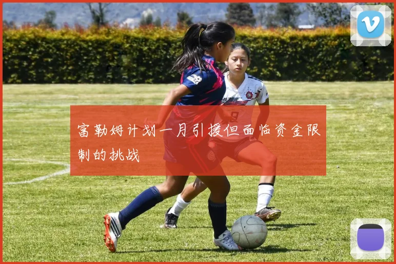 富勒姆计划一月引援但面临资金限制的挑战