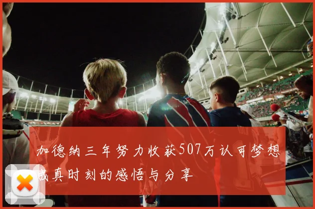 加德纳三年努力收获507万认可梦想成真时刻的感悟与分享
