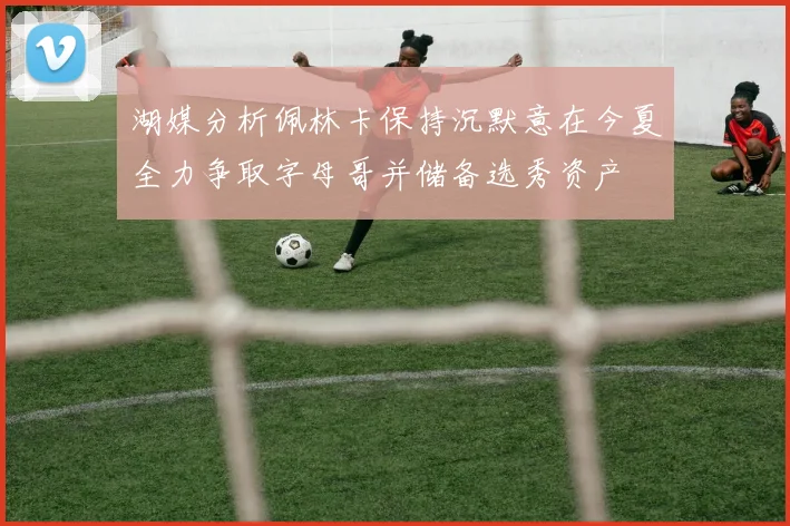湖媒分析佩林卡保持沉默意在今夏全力争取字母哥并储备选秀资产