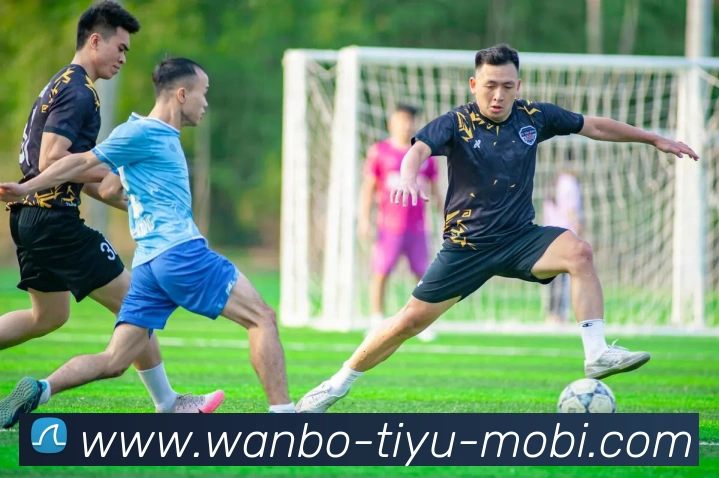 多媒体互动体验