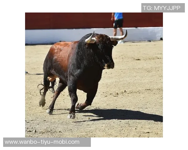 阿隆索与贝林关系紧张或因不自信导致矛盾加剧的深层原因分析